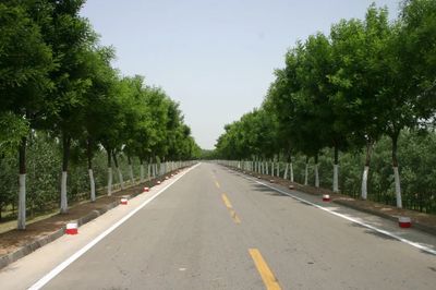 河南黃河網(wǎng) 樹(shù)木種植經(jīng)營(yíng)的發(fā)展現(xiàn)狀與前景